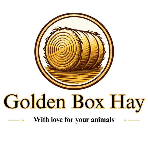 Golden Box Hay